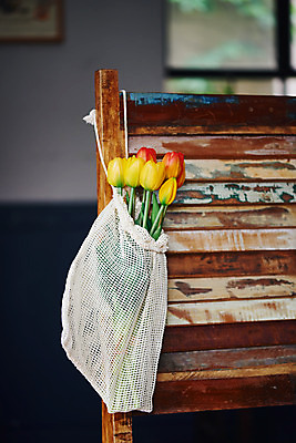 포토 JPG 식물 꽃 의자 실내 사람없음 튤립 오브젝트 감성 걸기 국내포토 가구 컨셉 모션 내부 파일형식