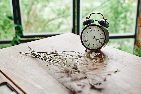 포토 JPG 식물 꽃 시계 실내 사람없음 창가 책상 오브젝트 감성 드라이플라워 국내포토 가구 컨셉 창문 내부 파일형식