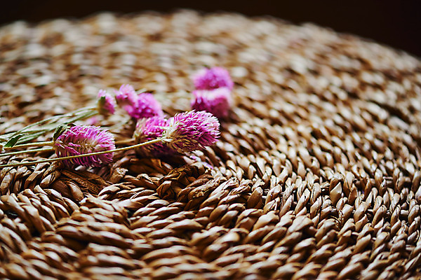 포토 JPG 식물 실내 근접촬영 사람없음 오브젝트 감성 드라이플라워 라탄접시 국내포토 접시 꽃 뷰포인트 컨셉 내부 파일형식