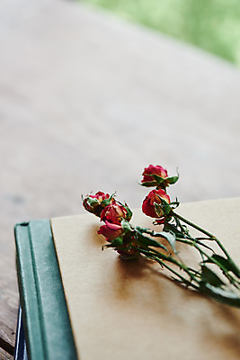 포토 JPG 꽃 실내 근접촬영 사람없음 책 장미 책상 오브젝트 감성 드라이플라워 국내포토 식물 뷰포인트 가구 컨셉 내부 파일형식