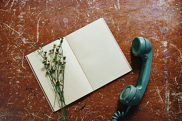 포토 JPG 실내 사람없음 책 하이앵글 공책 전화기 책상 오브젝트 감성 드라이플라워 국내포토 꽃 뷰포인트 가구 컨셉 문구용품 내부 파일형식