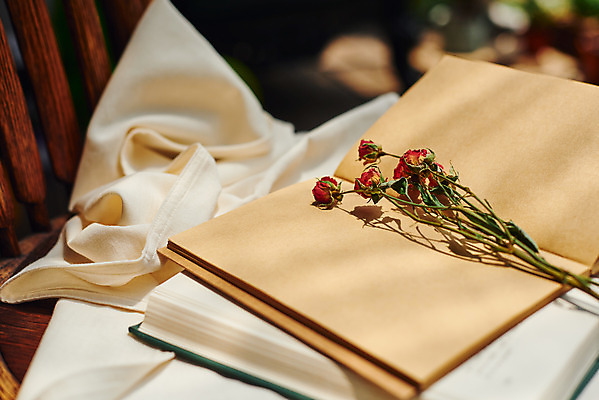 포토 JPG 주간 의자 근접촬영 사람없음 야외 책 장미 공책 천 오브젝트 감성 드라이플라워 국내포토 자연요소 꽃 뷰포인트 가구 컨셉 문구용품 직물 파일형식