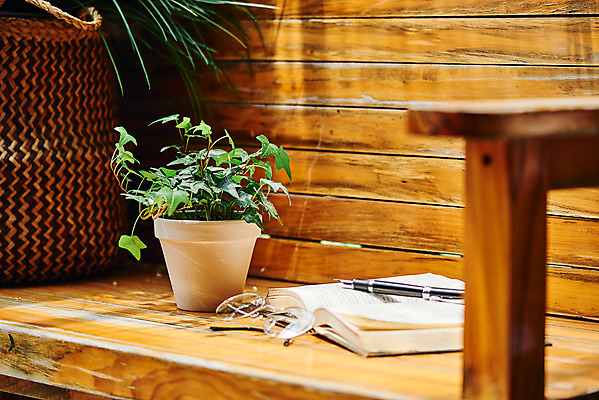 포토 JPG 주간 식물 화분 안경 화초 벤치 의자 사람없음 야외 책 볼펜 오브젝트 감성 아이비 국내포토 자연요소 잡화 가구 컨셉 펜 파일형식