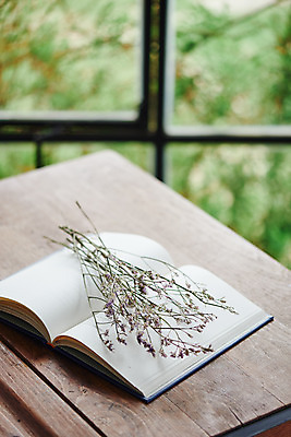 포토 꽃 가구 컨셉 창문 내부 파일형식 책상 감성 드라이플라워 실내 사람없음 책 창가 JPG 오브젝트 국내포토