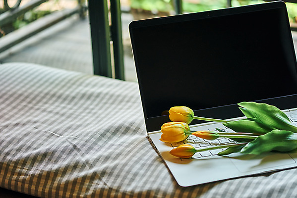 포토 JPG 꽃 실내 사람없음 노트북 튤립 창가 오브젝트 감성 국내포토 식물 컨셉 창문 내부 전자제품 파일형식