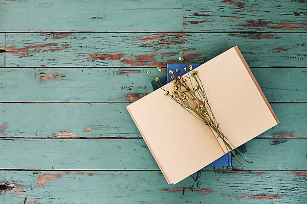 포토 JPG 실내 사람없음 책 하이앵글 공책 오브젝트 감성 드라이플라워 국내포토 꽃 뷰포인트 컨셉 문구용품 내부 파일형식