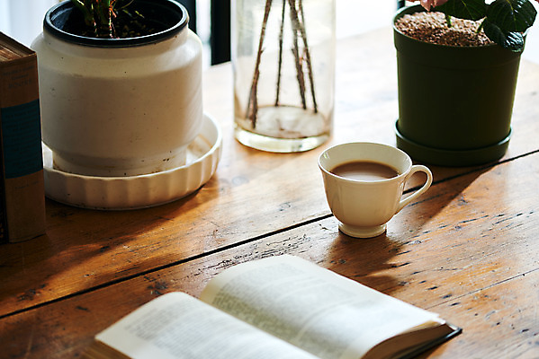 포토 JPG 화분 커피 실내 사람없음 책 커피잔 책상 오브젝트 감성 국내포토 음료 가구 컨셉 잔 내부 파일형식