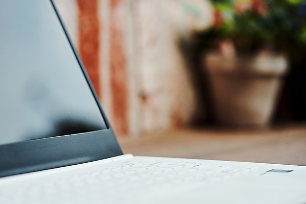 포토 JPG 주간 화분 화초 근접촬영 사람없음 야외 노트북 오브젝트 감성 국내포토 자연요소 식물 뷰포인트 컨셉 전자제품 파일형식