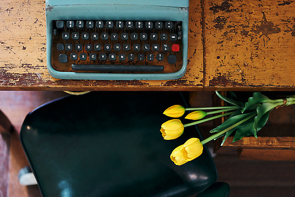 포토 JPG 식물 꽃 의자 실내 사람없음 하이앵글 튤립 책상 오브젝트 감성 타자기 국내포토 뷰포인트 가구 컨셉 내부 골동품 파일형식