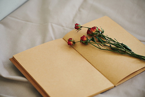 포토 JPG 꽃 실내 사람없음 책 장미 공책 오브젝트 감성 드라이플라워 국내포토 식물 컨셉 문구용품 내부 파일형식