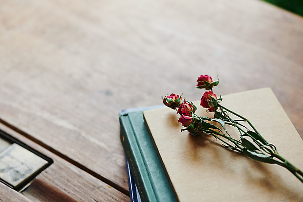 포토 JPG 꽃 실내 근접촬영 사람없음 책 장미 책상 오브젝트 감성 드라이플라워 국내포토 식물 뷰포인트 가구 컨셉 내부 파일형식