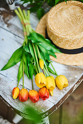 포토 JPG 주간 식물 모자 꽃 의자 사람없음 야외 튤립 오브젝트 감성 국내포토 자연요소 잡화 가구 컨셉 파일형식