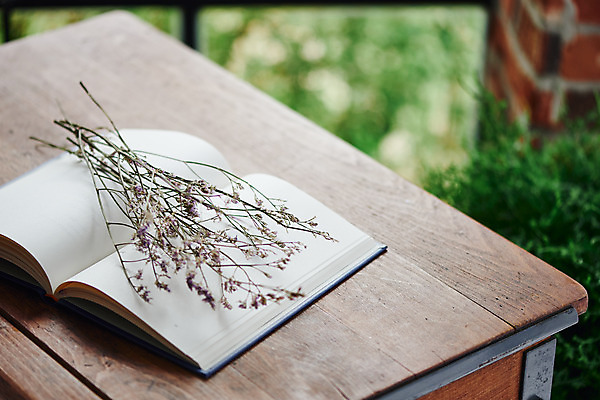 포토 JPG 실내 사람없음 책 창가 책상 오브젝트 감성 드라이플라워 국내포토 꽃 가구 컨셉 창문 내부 파일형식