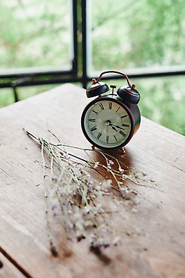 포토 JPG 꽃 시계 실내 사람없음 자명종 창가 책상 오브젝트 감성 드라이플라워 국내포토 식물 가구 컨셉 창문 내부 알람 파일형식
