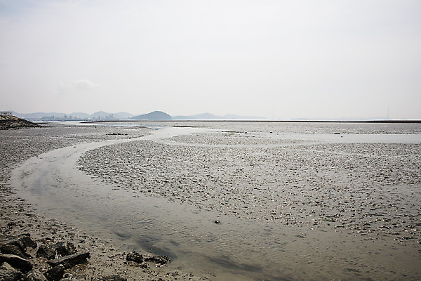 포토 JPG 주간 섬 여행 한국 풍경 사람없음 야외 관광지 경기도 갯벌 국내여행 안산 대부도 국내포토 자연요소 아시아 파일형식