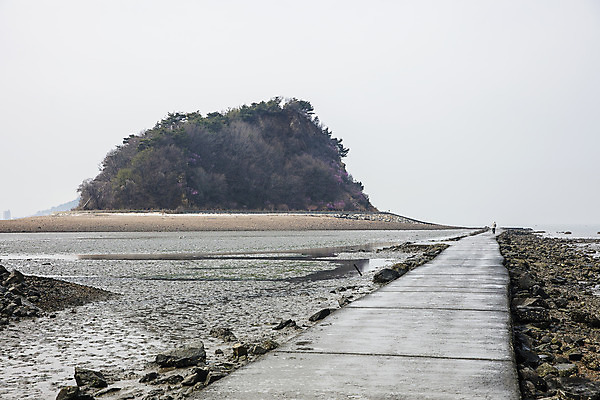 포토 JPG 주간 섬 여행 한국 풍경 사람없음 야외 관광지 경기도 갯벌 국내여행 물길 안산 대부도 국내포토 자연요소 아시아 길 파일형식