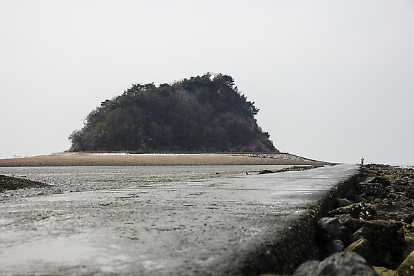 포토 JPG 주간 섬 여행 한국 풍경 사람없음 야외 관광지 경기도 갯벌 국내여행 물길 안산 대부도 국내포토 자연요소 아시아 길 파일형식