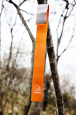 포토 JPG 주간 나무 여행 한국 풍경 사람없음 야외 관광지 경기도 국내여행 안산 구봉도 대부도 대부해솔길 국내포토 자연요소 식물 아시아 길 섬 파일형식