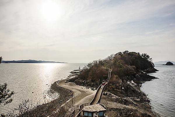 포토 JPG 주간 여행 한국 풍경 사람없음 야외 관광지 경기도 국내여행 안산 구봉도 대부도 대부해솔길 국내포토 자연요소 아시아 길 섬 파일형식