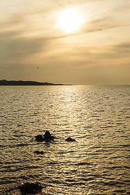 포토 JPG 주간 여행 한국 풍경 사람없음 야외 관광지 노을 일몰 경기도 국내여행 안산 구봉도 대부도 대부해솔길 국내포토 자연요소 아시아 길 섬 파일형식