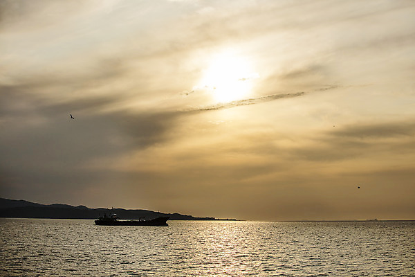 포토 JPG 주간 여행 한국 풍경 사람없음 야외 관광지 노을 일몰 경기도 국내여행 안산 구봉도 대부도 대부해솔길 국내포토 자연요소 아시아 길 섬 파일형식