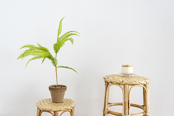 포토 JPG 스튜디오촬영 화분 음료 잔 실내 취미 사람없음 한개 카페 흰배경 달고나 라떼 스툴 소확행 홈카페 달고나라떼 국내포토 1 식기 커피 백그라운드 의자 내부 상점 흰색 신조어 파일형식