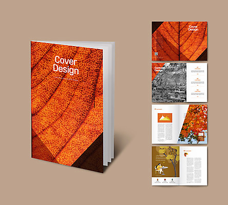 템플릿 여자 ZIP 리플렛 단풍 자연 산 한명 팜플렛 갈색 등산 가을 단풍놀이 여자한명만 인디자인 INDD 이미지템플릿 1 계절 컬러 잎 사람 소풍 트래킹 생태계 여자만 파일형식