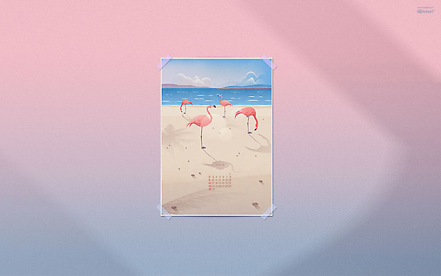 JPG 월페이퍼 바탕화면 8월 날짜 파일형식