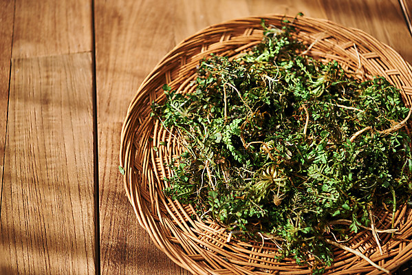 포토 JPG 스튜디오촬영 채소 식재료 재료 실내 사람없음 바구니 신선 유기농 냉이 봄나물 제철 갈색배경 제철음식 나무배경 국내포토 웰빙 음식 백그라운드 내부 갈색 나물 파일형식