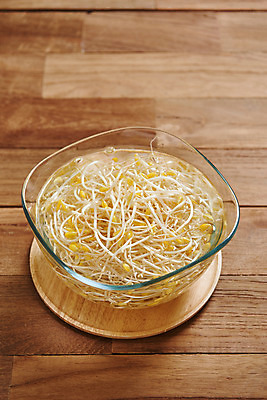 포토 JPG 스튜디오촬영 접시 채소 식재료 재료 실내 사람없음 신선 유기농 콩나물 갈색배경 나무배경 국내포토 식기 웰빙 백그라운드 내부 갈색 나물 파일형식