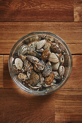 포토 JPG 스튜디오촬영 그릇 채소 식재료 재료 실내 사람없음 하이앵글 신선 유기농 바지락 갈색배경 나무배경 국내포토 식기 웰빙 뷰포인트 백그라운드 조개 내부 갈색 파일형식