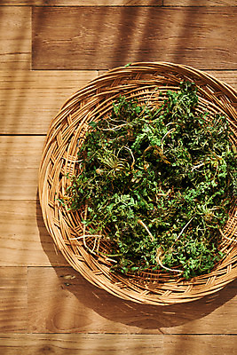 포토 JPG 스튜디오촬영 채소 식재료 재료 실내 사람없음 하이앵글 바구니 신선 유기농 냉이 봄나물 제철 갈색배경 제철음식 나무배경 국내포토 웰빙 음식 뷰포인트 백그라운드 내부 갈색 나물 파일형식