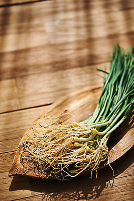 포토 JPG 스튜디오촬영 접시 채소 식재료 재료 실내 사람없음 신선 유기농 달래 봄나물 갈색배경 제철음식 나무배경 국내포토 식기 웰빙 음식 백그라운드 내부 갈색 나물 제철 파일형식