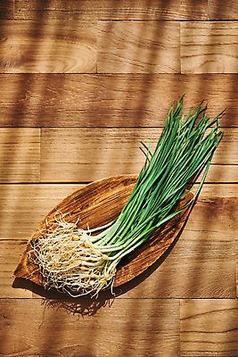 포토 JPG 스튜디오촬영 접시 채소 식재료 재료 실내 사람없음 하이앵글 신선 유기농 달래 봄나물 갈색배경 제철음식 나무배경 국내포토 식기 웰빙 음식 뷰포인트 백그라운드 내부 갈색 나물 제철 파일형식