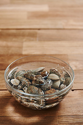 포토 JPG 스튜디오촬영 그릇 채소 식재료 재료 실내 사람없음 신선 유기농 바지락 갈색배경 나무배경 국내포토 식기 웰빙 백그라운드 조개 내부 갈색 파일형식