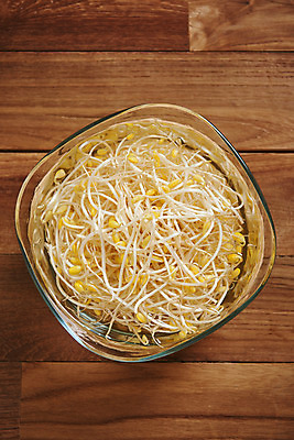 포토 JPG 스튜디오촬영 접시 채소 식재료 재료 실내 사람없음 하이앵글 신선 유기농 콩나물 갈색배경 나무배경 국내포토 식기 웰빙 뷰포인트 백그라운드 내부 갈색 나물 파일형식