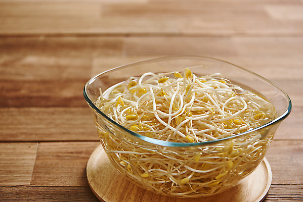 포토 JPG 스튜디오촬영 접시 채소 식재료 재료 실내 사람없음 신선 유기농 콩나물 갈색배경 나무배경 국내포토 식기 웰빙 백그라운드 내부 갈색 나물 파일형식