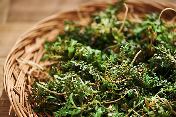 포토 JPG 스튜디오촬영 채소 식재료 재료 실내 근접촬영 사람없음 바구니 신선 유기농 냉이 봄나물 제철 갈색배경 제철음식 나무배경 국내포토 웰빙 음식 뷰포인트 백그라운드 내부 갈색 나물 파일형식