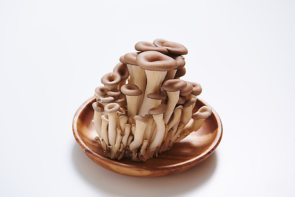 포토 JPG 스튜디오촬영 접시 채소 식재료 재료 실내 사람없음 버섯 신선 흰배경 유기농 국내포토 식기 웰빙 백그라운드 내부 흰색 파일형식