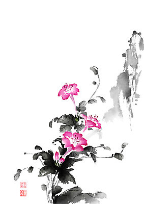 PSD 꽃 줄기 잎 일러스트 캘리그라피 붓터치 가을꽃 사람없음 들꽃 가을 돌_바위 바위 동양화 번짐 낙관 분꽃 국내일러스트 식물 계절 미술 파일형식 효과 가을_계절