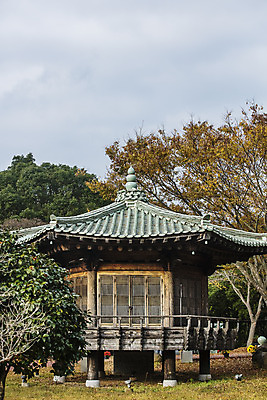포토 JPG 주간 여행 한국 풍경 사람없음 야외 관광지 전라남도 정자 국내여행 청자 강진 청자박물관 국내포토 자연요소 건축물 아시아 전라도 박물관 파일형식