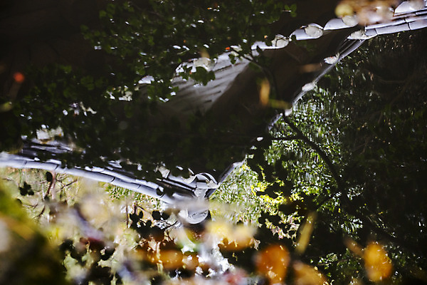 포토 JPG 주간 나무 여행 한국 풍경 사람없음 야외 관광지 반사 전라남도 국내여행 강진 다산초당 국내포토 자연요소 식물 아시아 유적지 전라도 파일형식