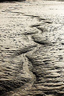 포토 JPG 주간 여행 한국 풍경 사람없음 야외 관광지 습지 전라남도 갯벌 국내여행 물길 생태공원 강진 강진만 국내포토 자연요소 공원 아시아 길 만 전라도 파일형식