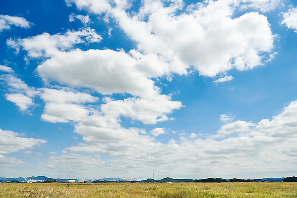 포토 JPG 주간 구름 여행 자연 하늘 한국 풍경 초원 사람없음 야외 가을 국내여행 화성시 우음도 국내포토 자연요소 계절 아시아 섬 생태계 경기도 화성_경기도 파일형식
