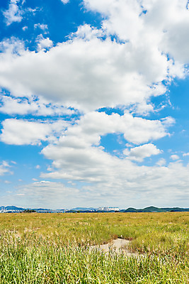 포토 JPG 주간 구름 여행 자연 하늘 한국 풍경 초원 사람없음 야외 가을 국내여행 화성시 우음도 국내포토 자연요소 계절 아시아 섬 생태계 경기도 화성_경기도 파일형식