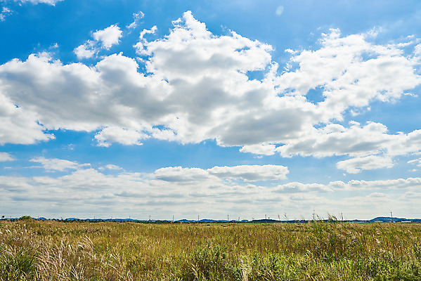 포토 JPG 주간 구름 여행 자연 하늘 한국 풍경 초원 사람없음 야외 가을 국내여행 화성시 우음도 국내포토 자연요소 계절 아시아 섬 생태계 경기도 화성_경기도 파일형식