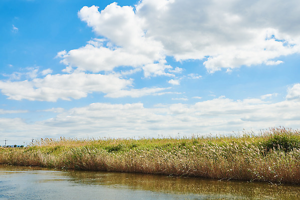 포토 JPG 주간 구름 여행 자연 하늘 한국 풍경 사람없음 야외 가을 국내여행 화성시 우음도 국내포토 자연요소 계절 아시아 섬 생태계 경기도 화성_경기도 파일형식