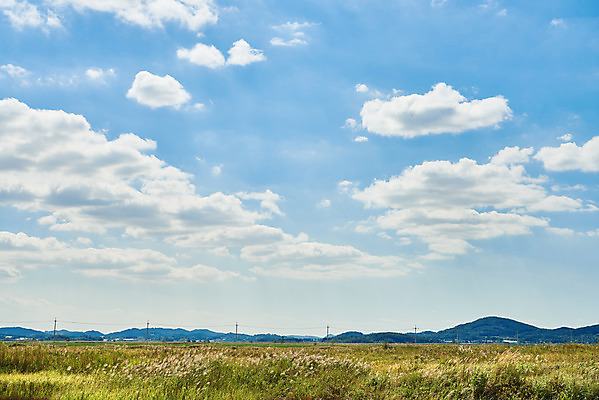 포토 JPG 주간 구름 여행 자연 하늘 한국 풍경 초원 사람없음 야외 가을 국내여행 화성시 우음도 국내포토 자연요소 계절 아시아 섬 생태계 경기도 화성_경기도 파일형식
