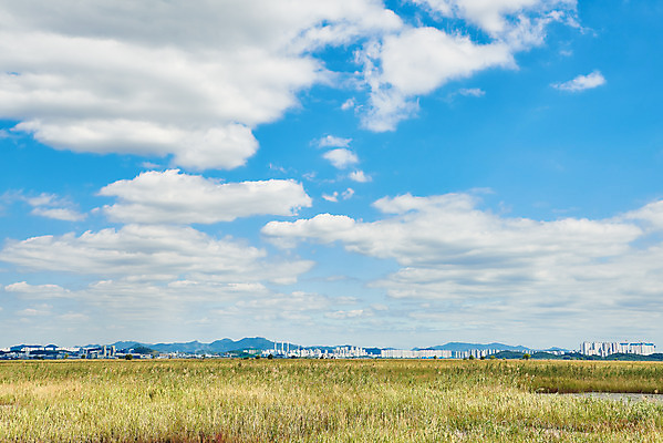 포토 JPG 주간 구름 여행 자연 하늘 한국 풍경 초원 사람없음 야외 가을 국내여행 화성시 우음도 국내포토 자연요소 계절 아시아 섬 생태계 경기도 화성_경기도 파일형식