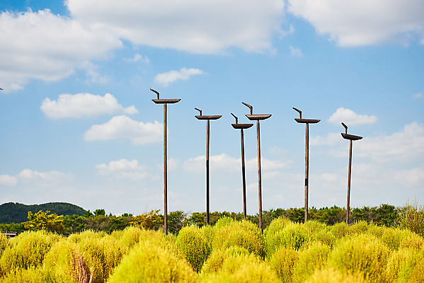 포토 JPG 주간 구름 전통 여행 자연 하늘 한국 풍경 사람없음 야외 가을 솟대 국내여행 시흥 갯골생태공원 댑싸리 국내포토 자연요소 식물 계절 아시아 생태계 경기도 파일형식